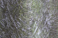 Whitefaulds fibreglass roof work